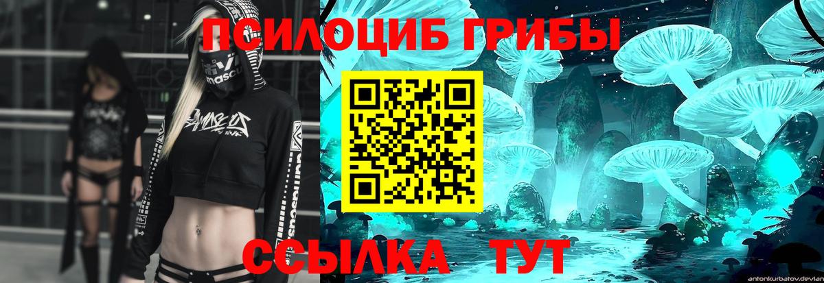 Лабытнанги  Псилоцибиновые грибы Psilocybine cubensis  Вход с VPN 